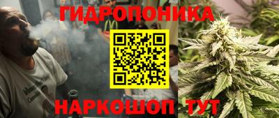 прущие грибы Апрелевка