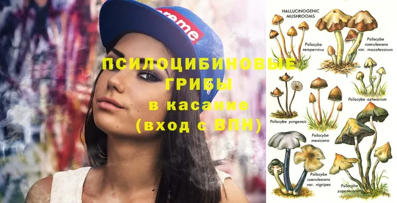 Псилоцибиновые грибы Magic Shrooms  ссылка на мегу ссылка  Карасук 