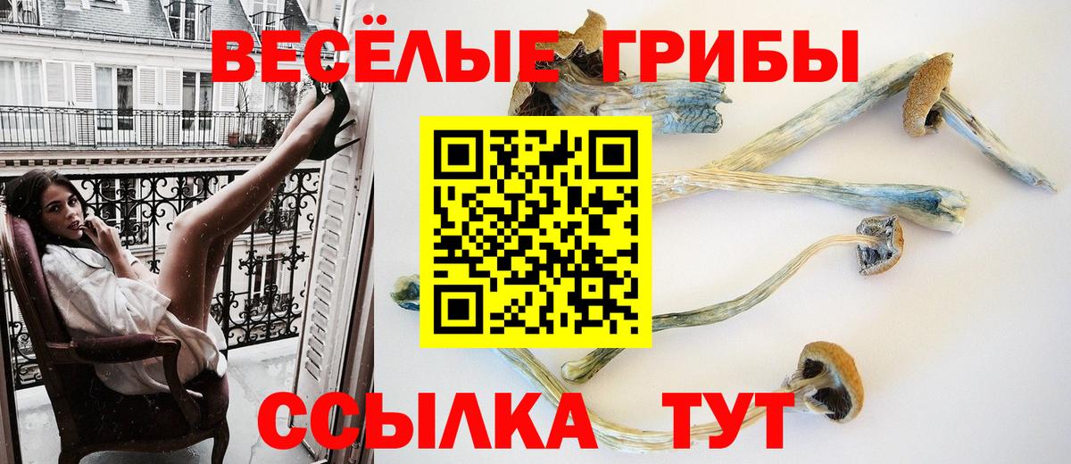 Галлюциногенные грибы Cubensis  Вход с VPN  Карасук 