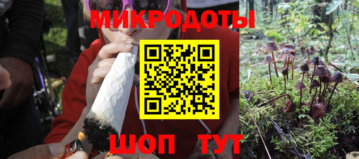 Галлюциногенные грибы ЛСД Карасук
