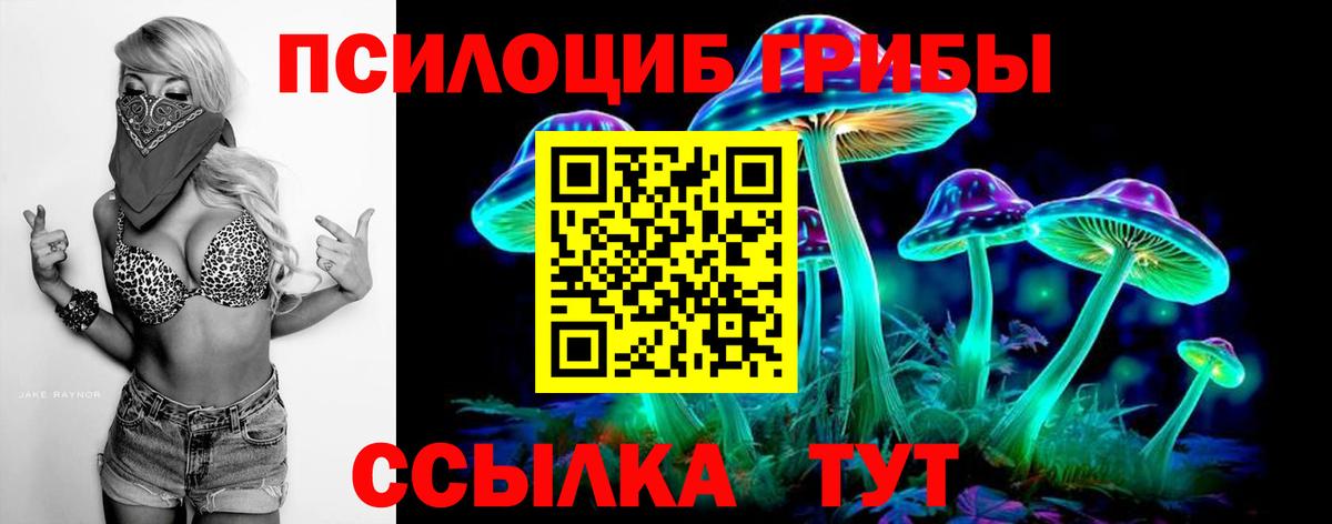 Галлюциногенные грибы Magic Shrooms Карасук