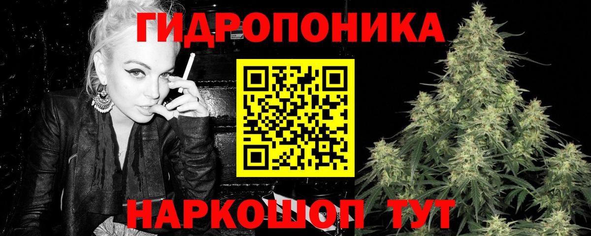 МАРИХУАНА семена Карасук